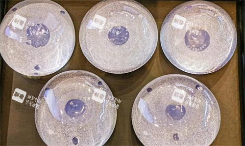 艾斯美丰胸假体展示照片 艾斯美丰胸假体展示照片