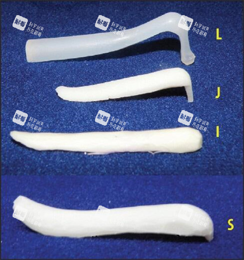 隆鼻假体的不同形态