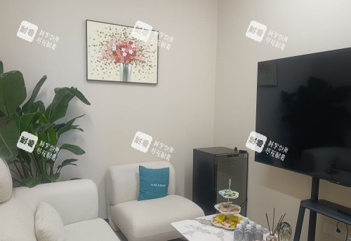 上海绿之星整形接待室示意图