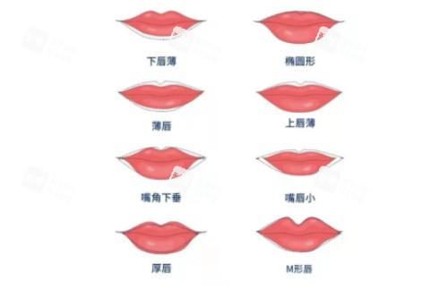 不同唇形卡通图展示