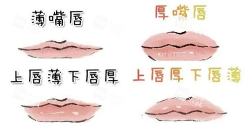 唇部形态对比