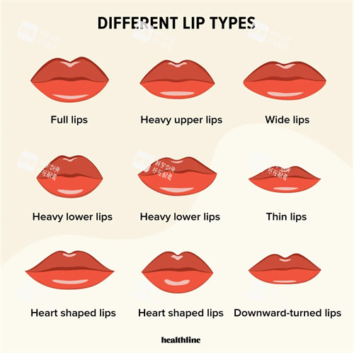 不同唇型展示图