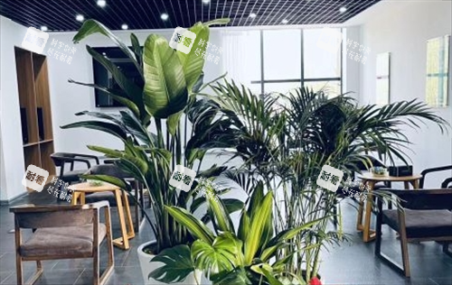 沈阳笙泽植发休息区