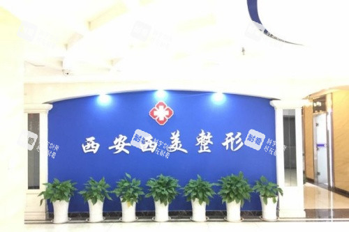 西安西美整形logo