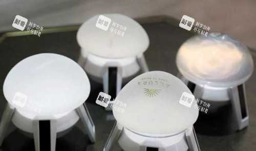 傲诺拉假体图片 傲诺拉假体图片