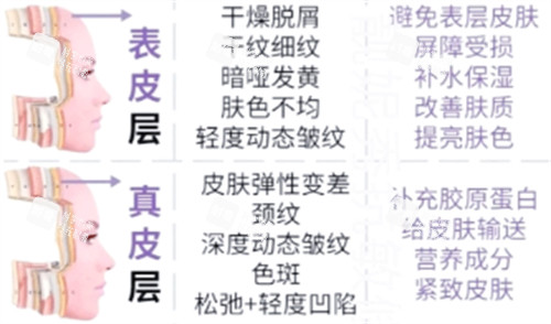 不同皮肤层次抗衰重点