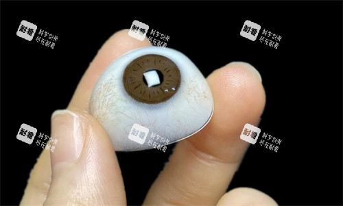 义眼示意图展示