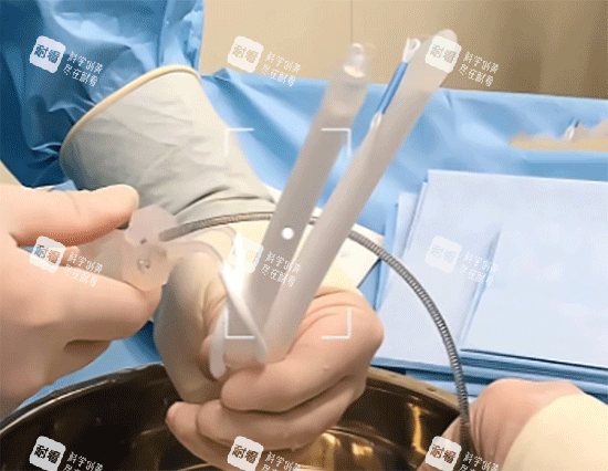 男性私密三件套假体 男性私密三件套假体