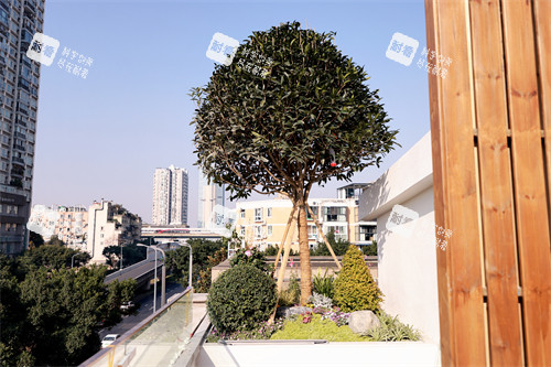 成都晶肤医疗美容环境一角