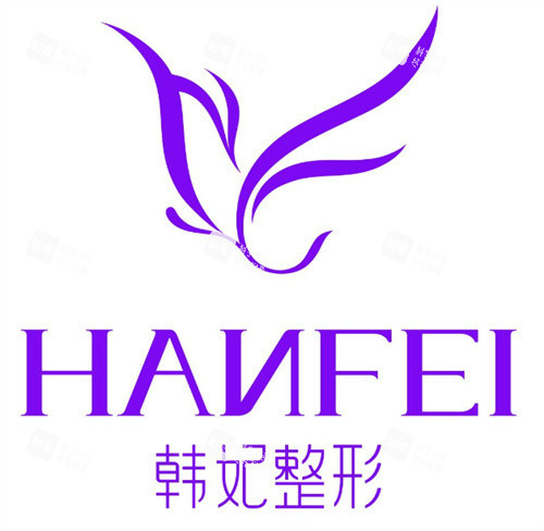 珠海韩妃医疗美容logo图