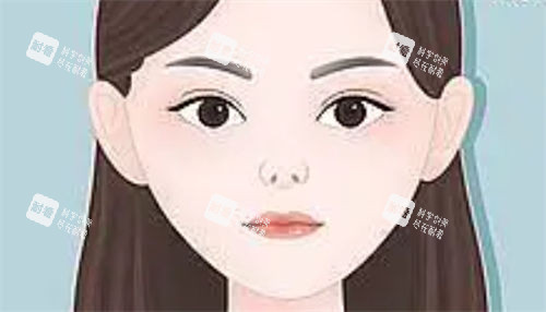 朝天鼻正面动画展示图