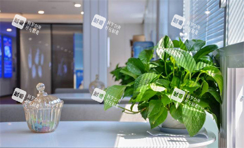 成都普瑞眼科内部环境 成都普瑞眼科内部环境