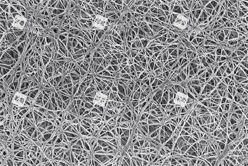隆鼻手术膨体材料内部构造