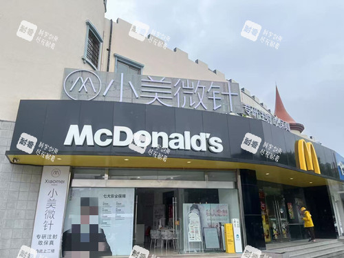 宁波小美微针外观图