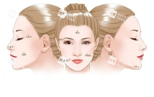 耳基低韧带提升部位示意图