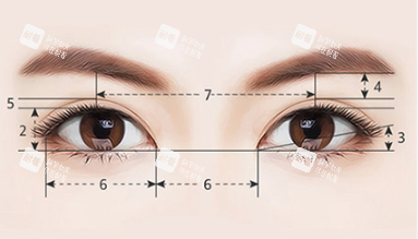 眼睛美学标准