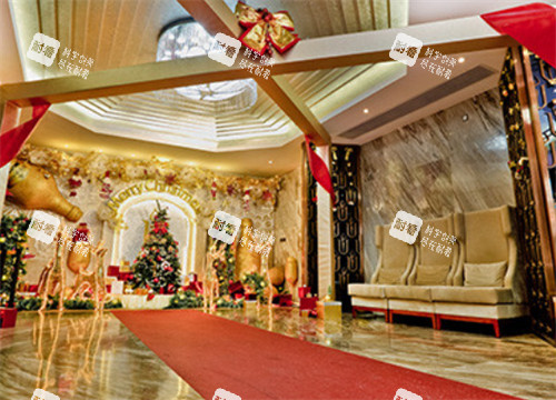 广州华美医疗美容医院红毯