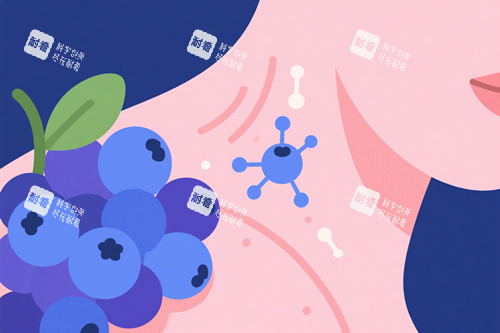 颈部皮肤 颈部皮肤