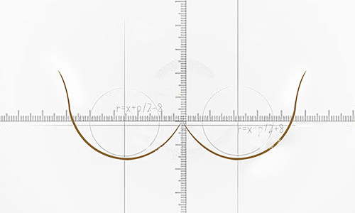 胸部比例抛物线展示 胸部比例抛物线展示