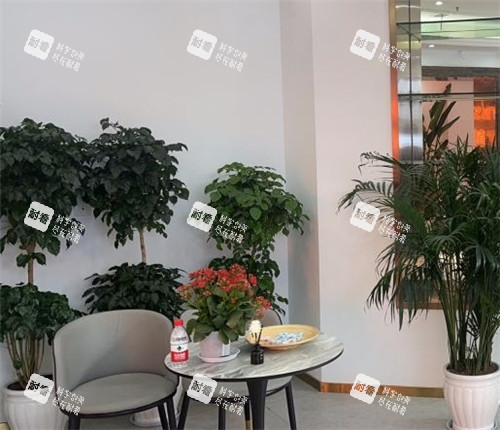 重庆美姿植发休息区照片