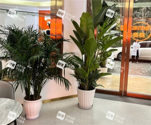 重庆美姿植发大厅图片