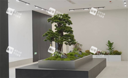 泰州小鹿医疗美容环境一角 泰州小鹿医疗美容环境一角