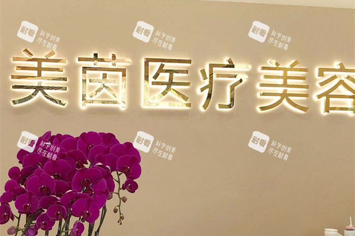 成都美茵医疗美容logo墙