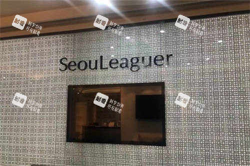 上海首尔 丽格医疗美容医院品牌墙