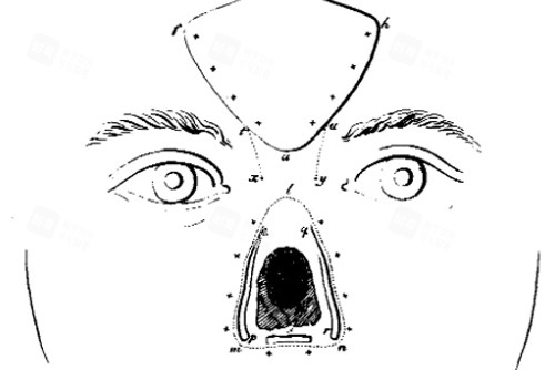 鼻再造术前设计