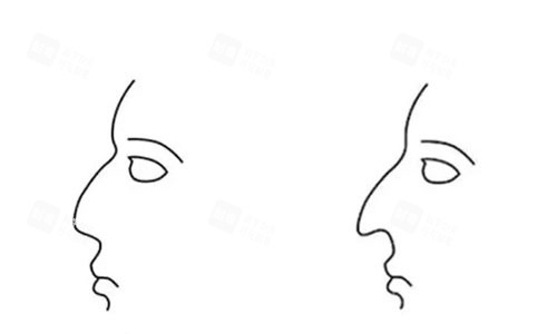 鼻子动画图.