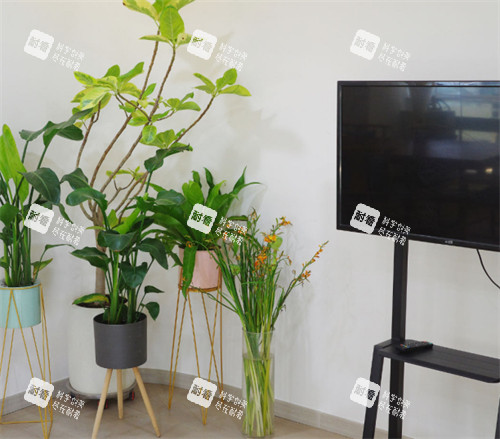 郑州美丽臻医疗美容等候区