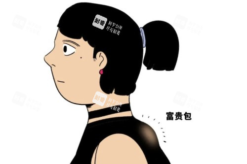 富贵包卡通图片展示