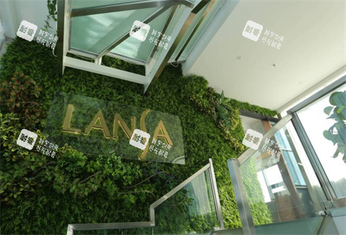 保定蓝山医疗美容医院楼梯