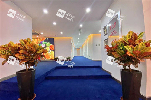 长春融美医疗美容走廊环境