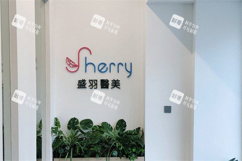 长春盛羽医疗美容logo墙