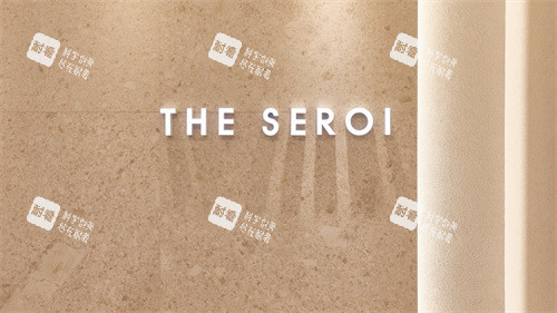韩国theseroi整形外科LOGO