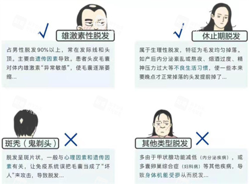 hbw毛囊克隆适应人群图解 hbw毛囊克隆适应人群图解