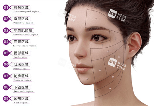 维密金雕治疗部位