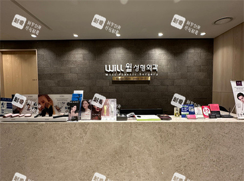 韩国will整形前台环境