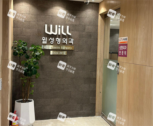 韩国will整形logo墙