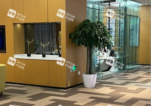 南京艺星整形大厅一角