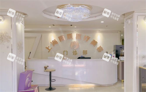 上海丽质前台展示图