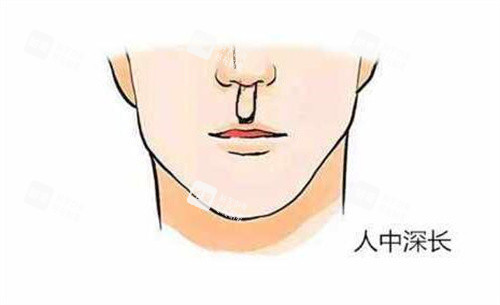 人中过长卡通图展示