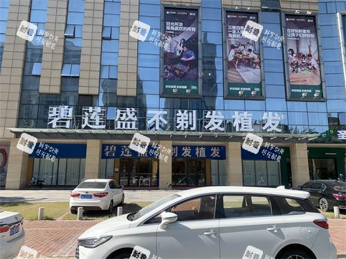 佛山碧莲盛植发外观大楼