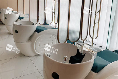 佛山碧莲盛植发洗护区