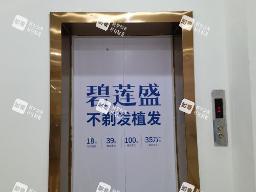 绵阳碧莲盛植发电梯