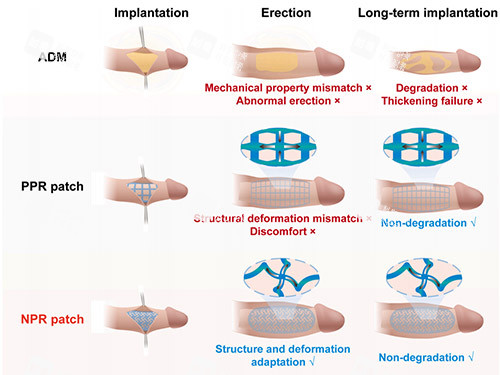 男士增大增粗男科找