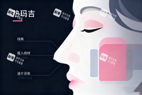 面部做热玛吉卡通图