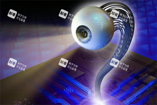 仿生眼球多少钱