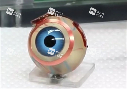 仿生眼球的样子